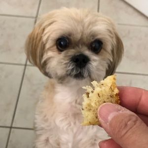 Meet your Posher, May